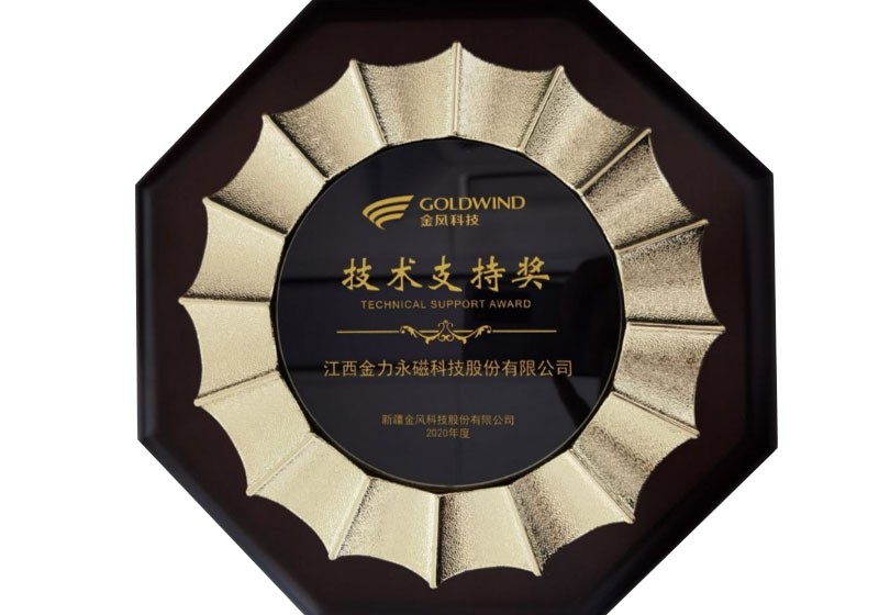 Goldwind Technical Support Award